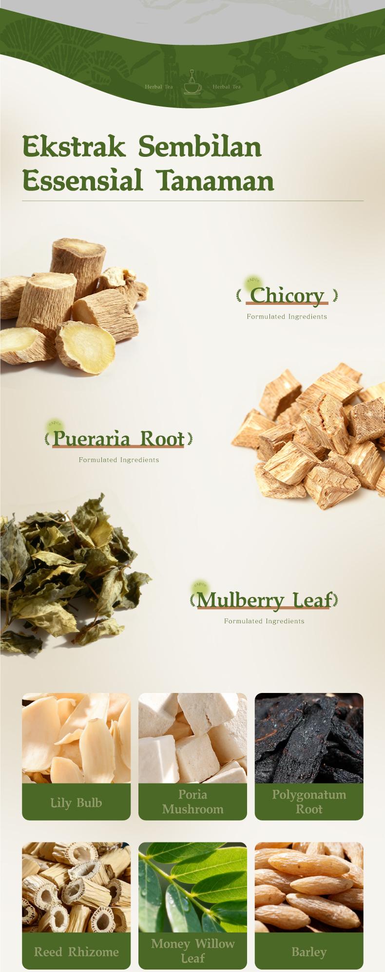 Expce Teh Herbal 12 Sachet, Segar Alami, Relaksasi Setiap Hari