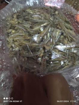 Product Review of Bilis promosi mata biru saiz sedang Tanjung Dawai Original - Food from Z**J 2