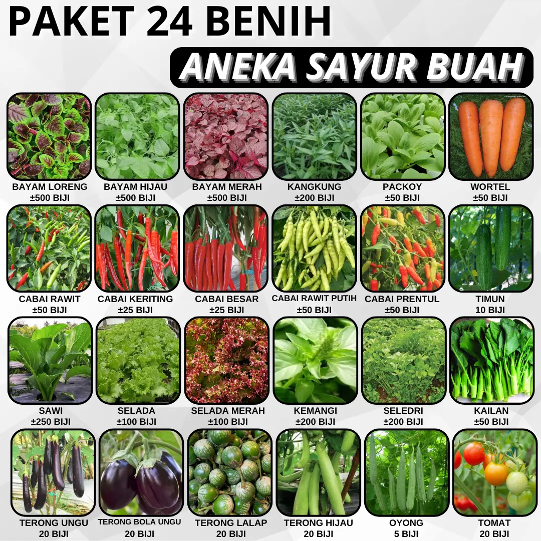 PAKET 24 BENIH ANEKA SAYUR BUAH BISA HIDROPONIK DAN KONVENSIONAL