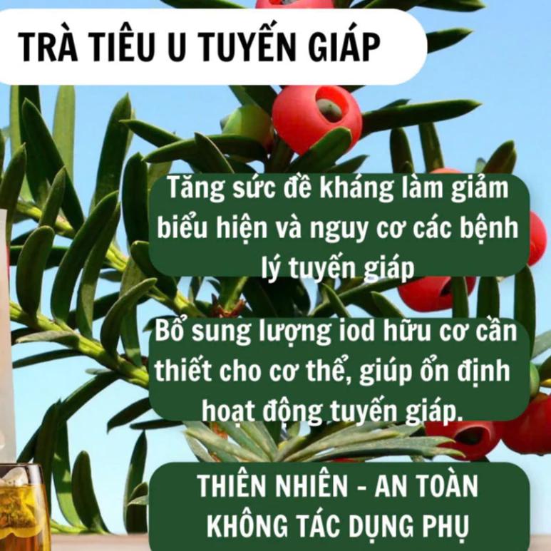 Product Introduction of Trà Tiêu U Loại Bỏ Các Loại U, Xơ, Nhân, Nang, Tuyến Giáp, V.Ú Hiệu Quả, Giảm Sưng 11
