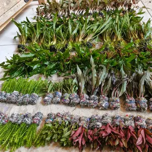 paket hiasan aquarium full set lengkap per 5 bundele untuk tema duchstyle