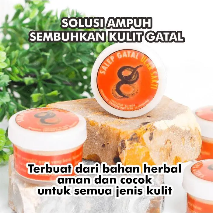 Obat Salep Gatal Paling Ampuh Gatel Kulit Panu Kadas Jamur Eksim Kutu Air Bisul Jerawat Selangkangan 1