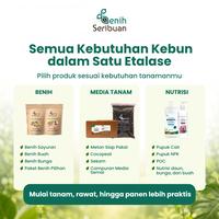 Gambar [CUCI GUDANG] Harga Spesial & Stok Terbatas - Produk Berkebun Pilihan Variasi Benih, Media Tanam & Pupuk - Cabai Ancho Pepper dari Benih Seribuan Kab. Boyolali 3 Tokopedia