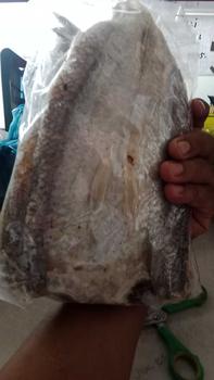 Product Review of TERLARISS 1 KILO GABUS LAUT ASIN GURIH from m** p**a 0