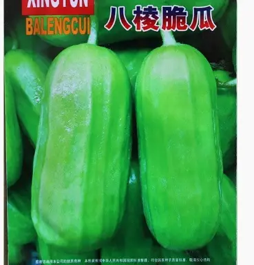 Octagon crispy white skin crispy fried melon seeds Farm garden early skin thin crispy melon wholesale fruit seeds