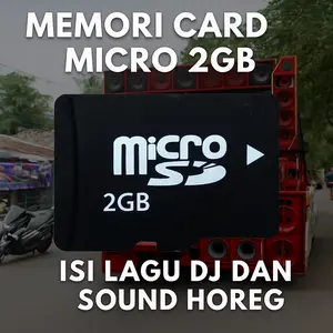 MEMORI MICRO SD 2GB ISIAN LAGU DJ DAN LAGU SOUND HOREG . SIAP PAKAI TERMURAH