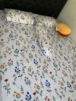 Product Review of SPREI/SEPREI HOMEMADE KOREAN STYLE AESTHETIC | sprei motif bunga karakter ukuran 120x200,160x200,180x200 sprei sudut karet anti geser sprei from c**y 1