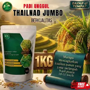 benih padi Thailand jumbo kemasan 1kg original
