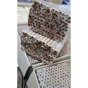 ASTOR ROLLA 1 DUS ISI 6KG ORIGINAL