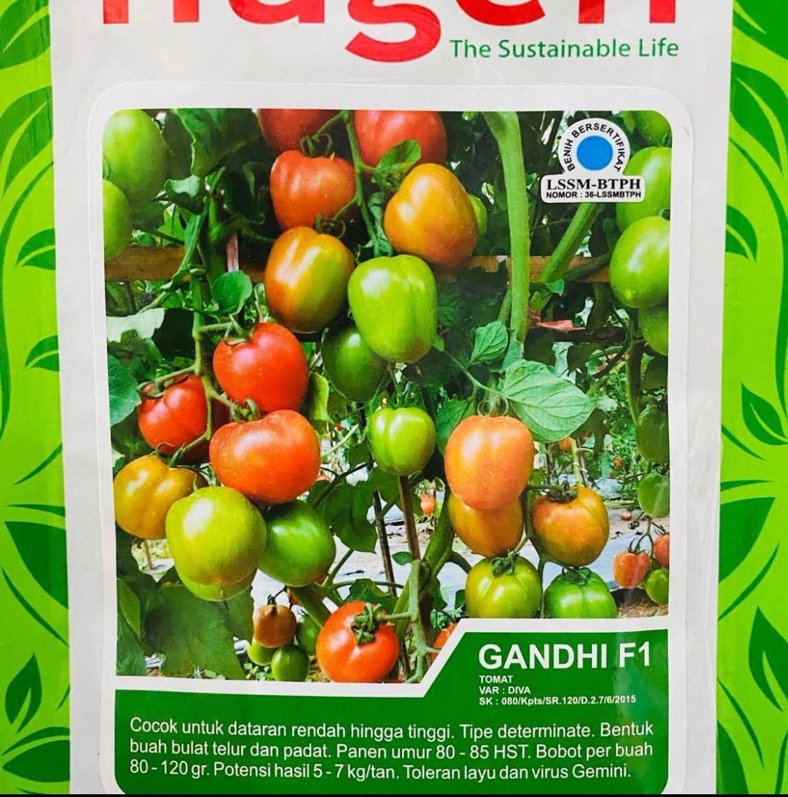 Benih Tomat Hibrida GANDHI F1 5Gr - Nugens