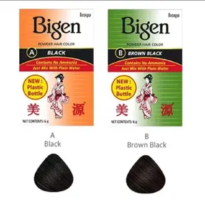 BIGEN Powder Hair Color 6g / Pewarna Cat Rambut Bigen