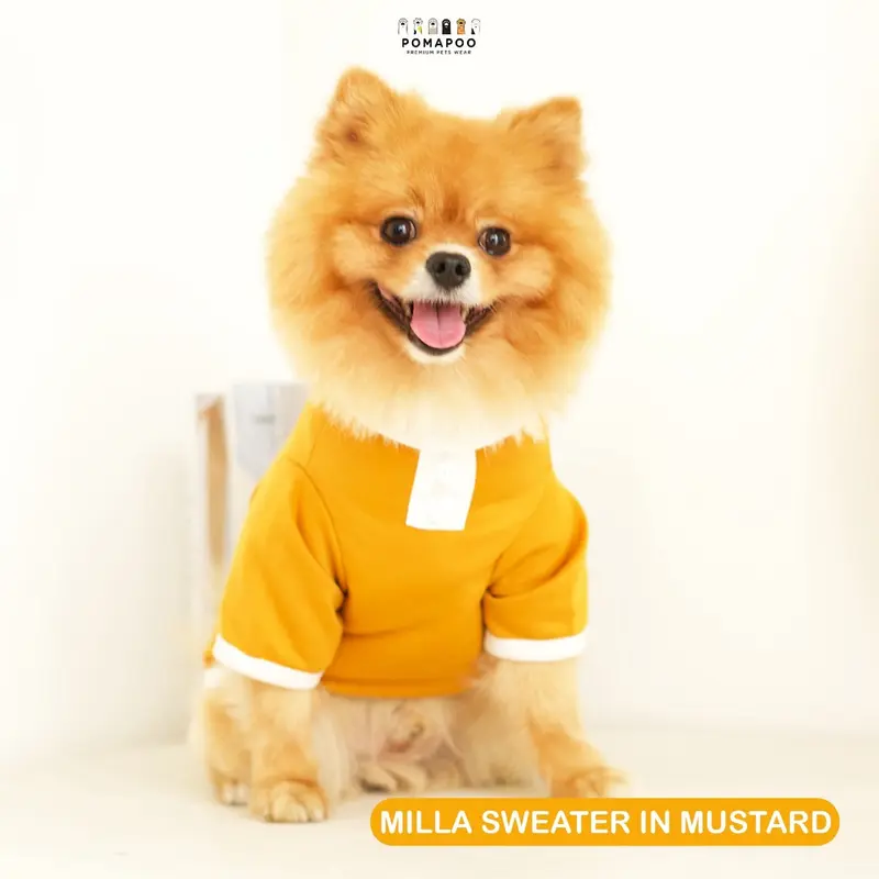 POMAPOO - Sweater Kucing dan Sweater Anjing Milla Sweater 1