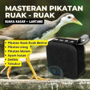 SPEAKER KOTAK MASTERAN BURUNG RUAK-RUAK