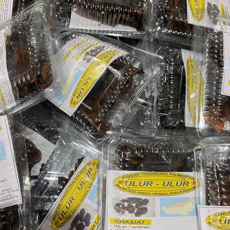 Buah Ulur Ulur Asli 100% Ramuan Tradisional Kalimantan mengobati ambien 2