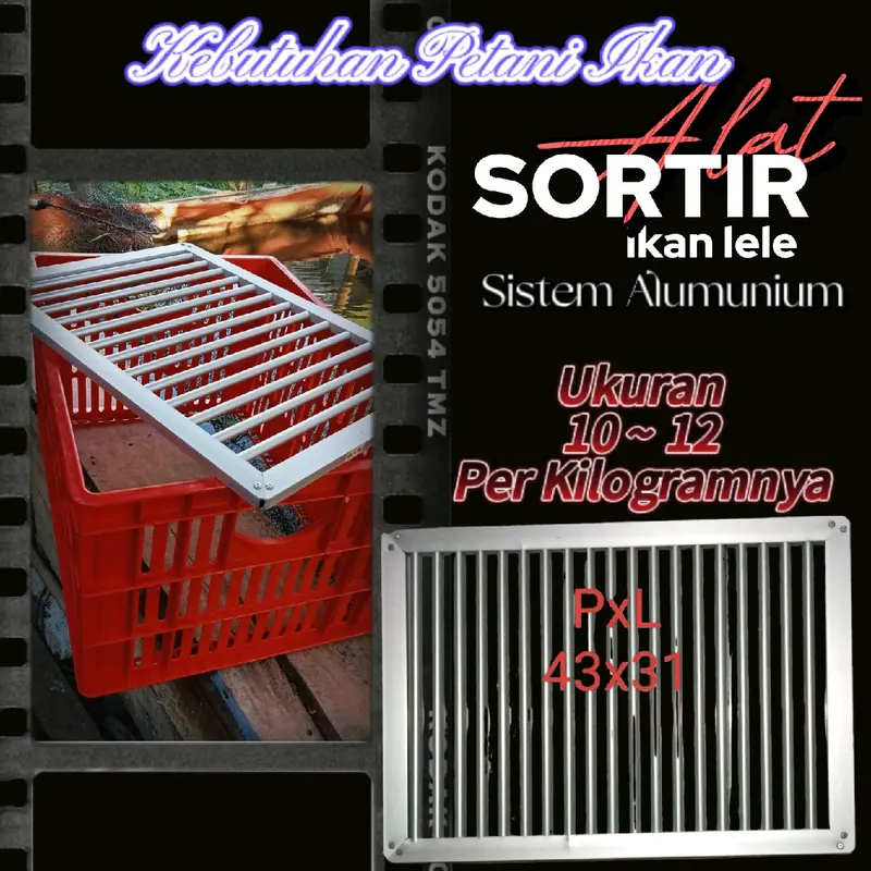 Alat sortir ikan lele 1kg isi 10-12. sistem terbaru 4