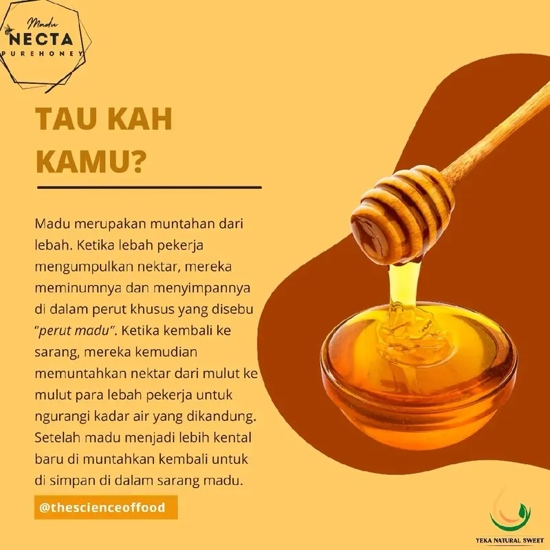 Madu Randu / Madu Necta Purehoney RANDU / Ceiba Pentandra Honey / RAW Honey / Madu Murni / 100% Madu Alami / Asli / RANDU 4