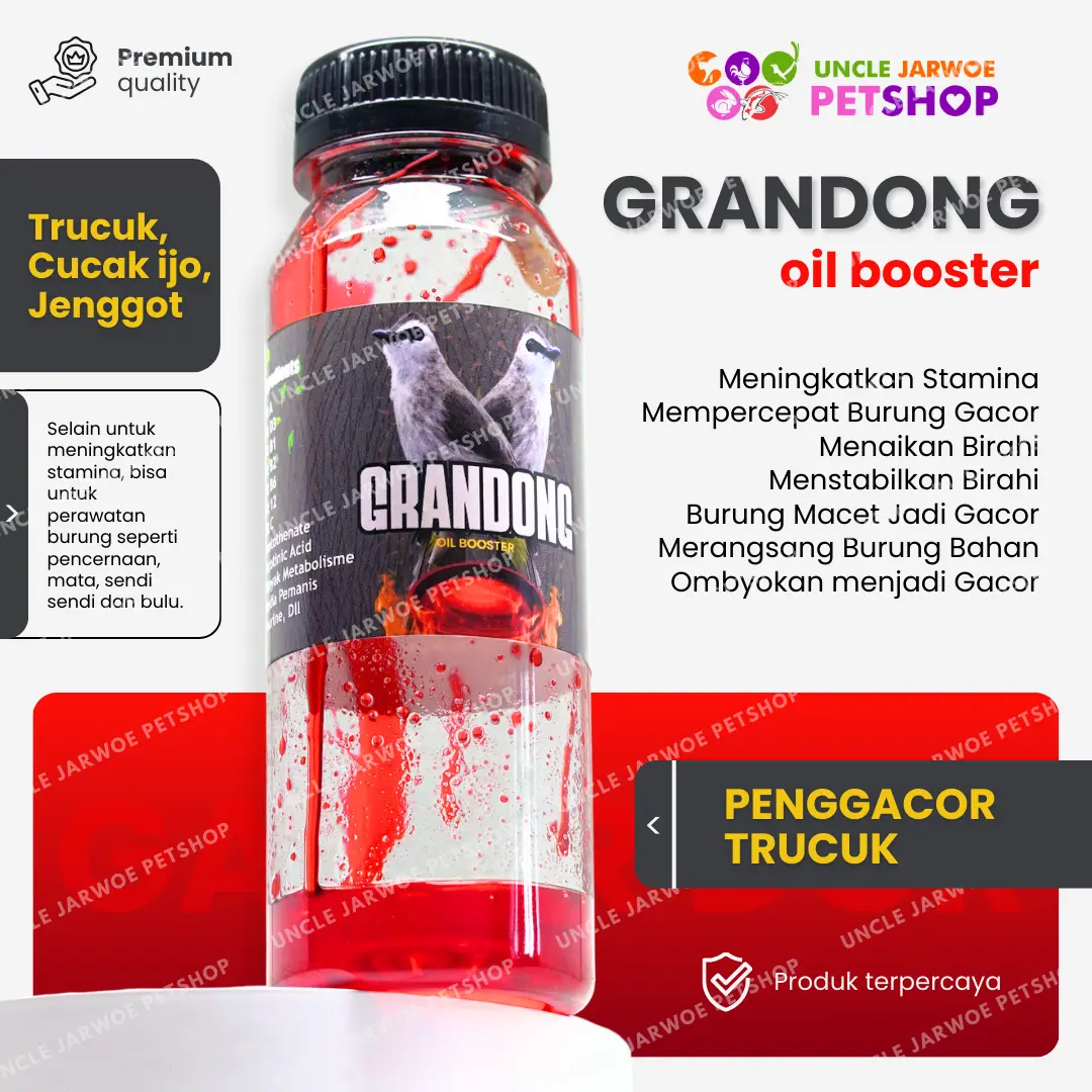 GRANDONG Penggacor Burung Trucuk Kutilang Jenggot Ijo Segala Cucak Ropel Pakan Cepat Gacor