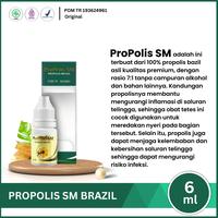 Gambar Propolis Sm Atasi Alopecia Areata, Oles Penumbuh Rambut Rontok, Infeksi Jamur Kepala dari SAPNU HERBAL INDO Kota Administrasi Jakarta Barat 3 Tokopedia