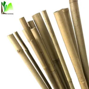 Cod tongkat bambu untuk pramuka panjang 2mtr