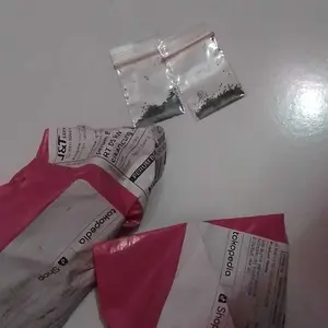 300 BUTIR BENIH BUNGA MOSSROSE PORTULACA DOUBLE MIX Biji