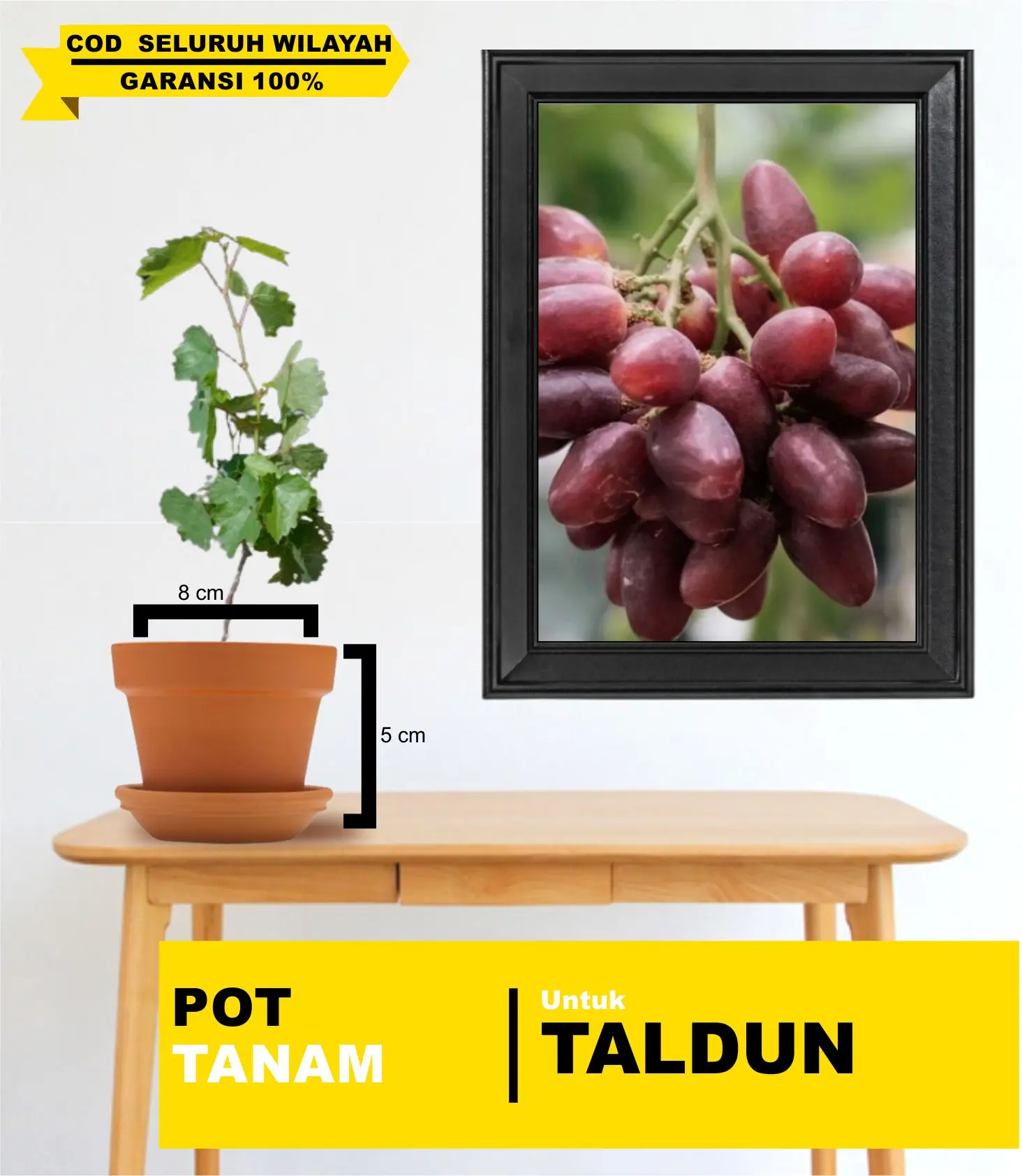 POT PLASTIK UNTUK TANAM TALDUN