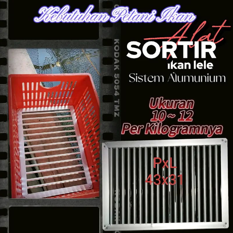 Alat sortir ikan lele 1kg isi 10-12. sistem terbaru 0