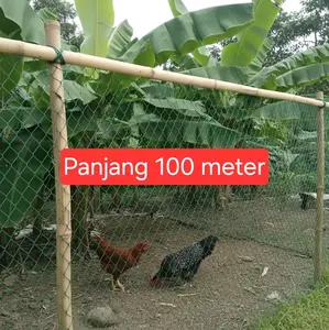 Jaring Ayam Panjang 100 Meter Lubang 3,5/4inc Bahan Nilon PE d6 Bonus Tali Atas Bawah ayam alat umbaran rumahan