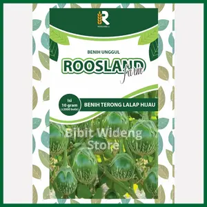 ( 10 Gram ) Benih Terong Lalap Hijau | Terong Gelatik | Bibit Terong Hijau Bulat
