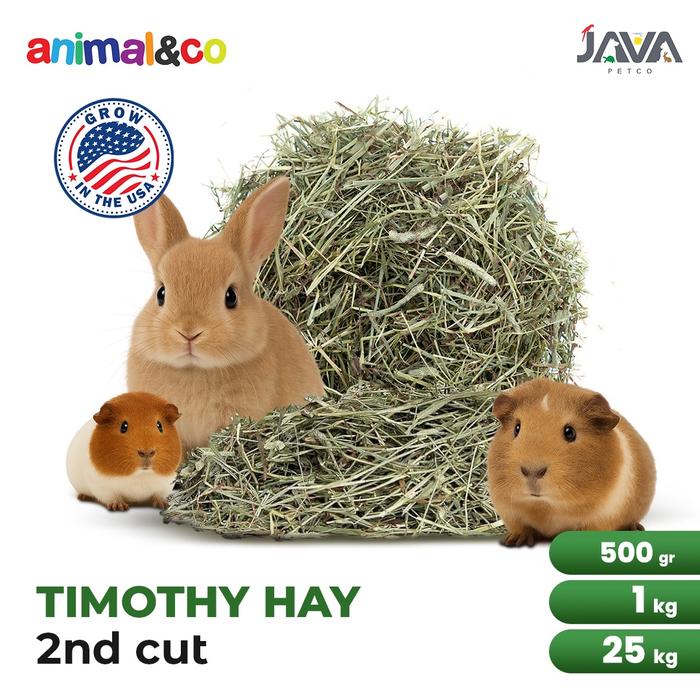Gambar Animalnco Timothy Hay 2nd Cut 500gr Makanan Kelinci Guaniea Pig dari Java Reptile Kota Administrasi Jakarta Selatan Tokopedia