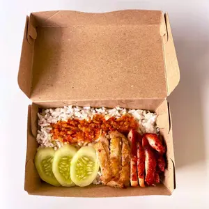 paket hemat nasi hainam ayam Mix