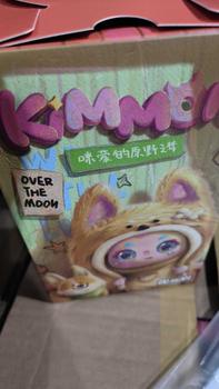 Product Review of BLINDBOX FIGURE KIMMON V8 from r**5 0