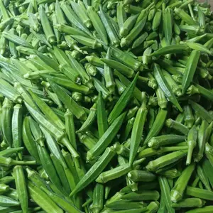 OKRA HIJAU SEGAR GRADE A 10 KG