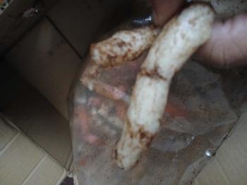 Product Review of Kerupuk Gurilem Si Denok isi 500 gram Cemilan khas Bandung Barat Rasa Kacang Pedas Camilan Food from A**a 1