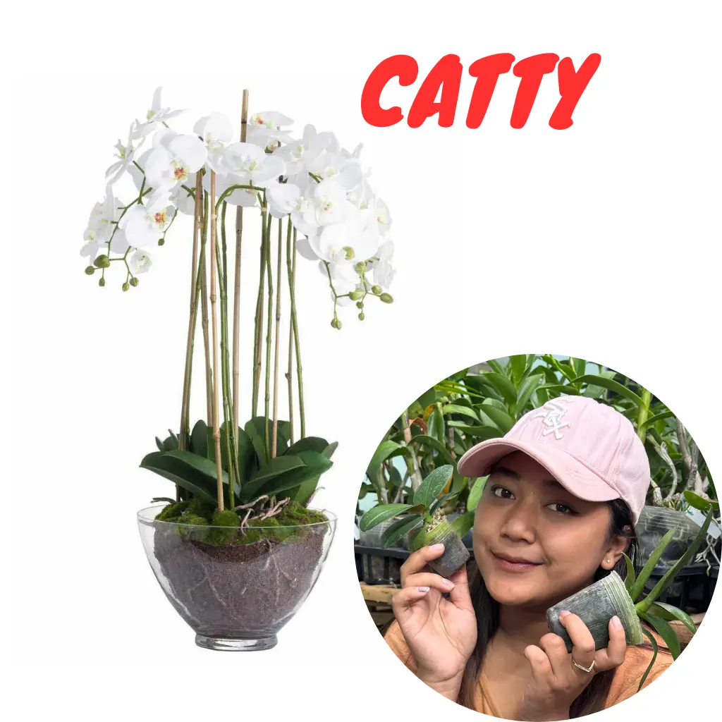 Artificial CATTLEYA Tanaman Anggrek - 7pcs bulan mix catty - Helga