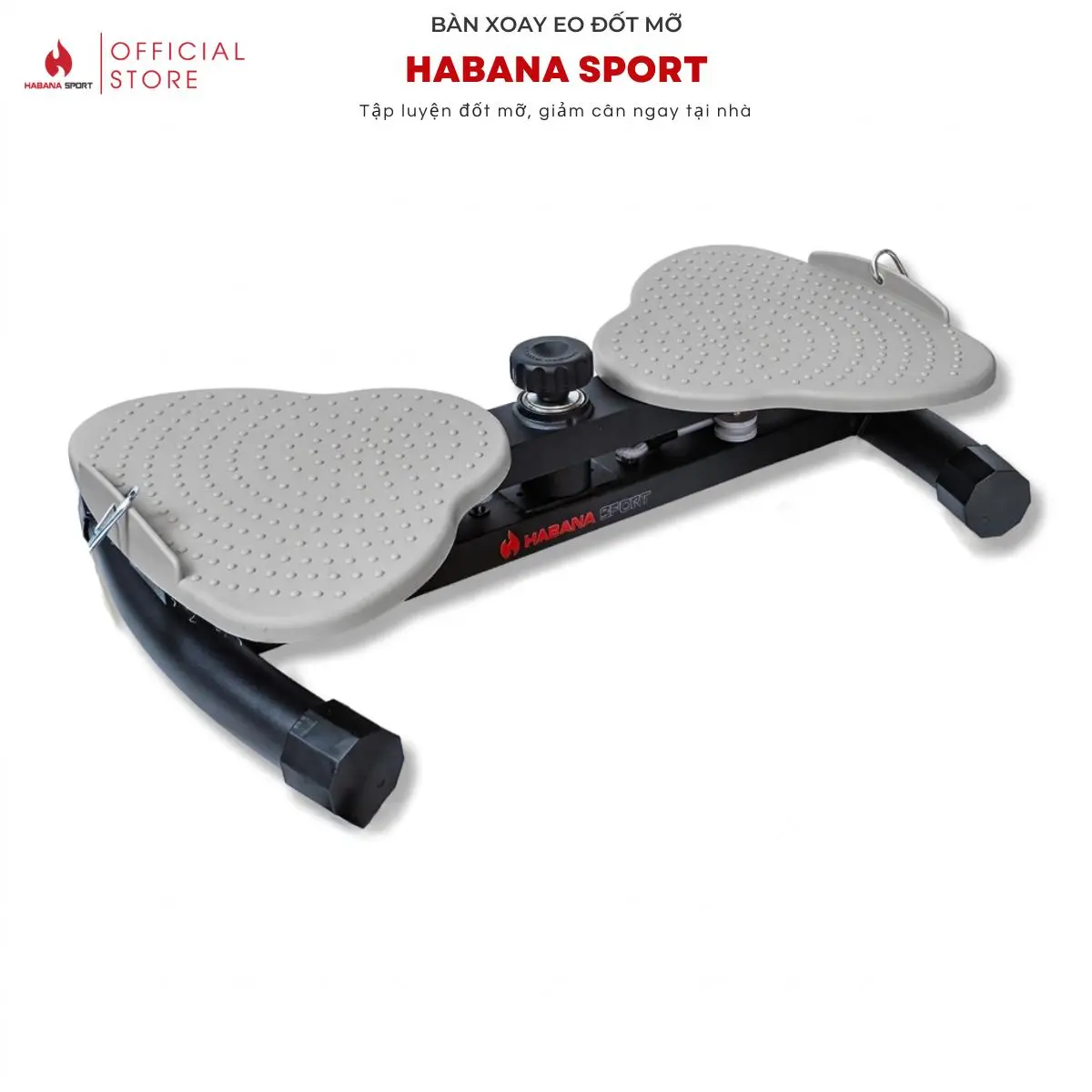 [HABANA SPORT] Bàn Xoay Eo Tập Bụng Cánh Bướm [ TẶNG] Bộ Phụ Kiện Chuyên Dụng – Thể Dục Giảm Cân, Chịu Lực 200kg, Tập Luyện Đa Năng Tại Nhà