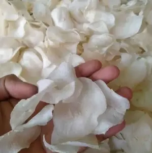 keripik singkong kering mentah siap goreng  harga 1 kg Camilan Food Snack Makanan Kripik Pedas Cemilan