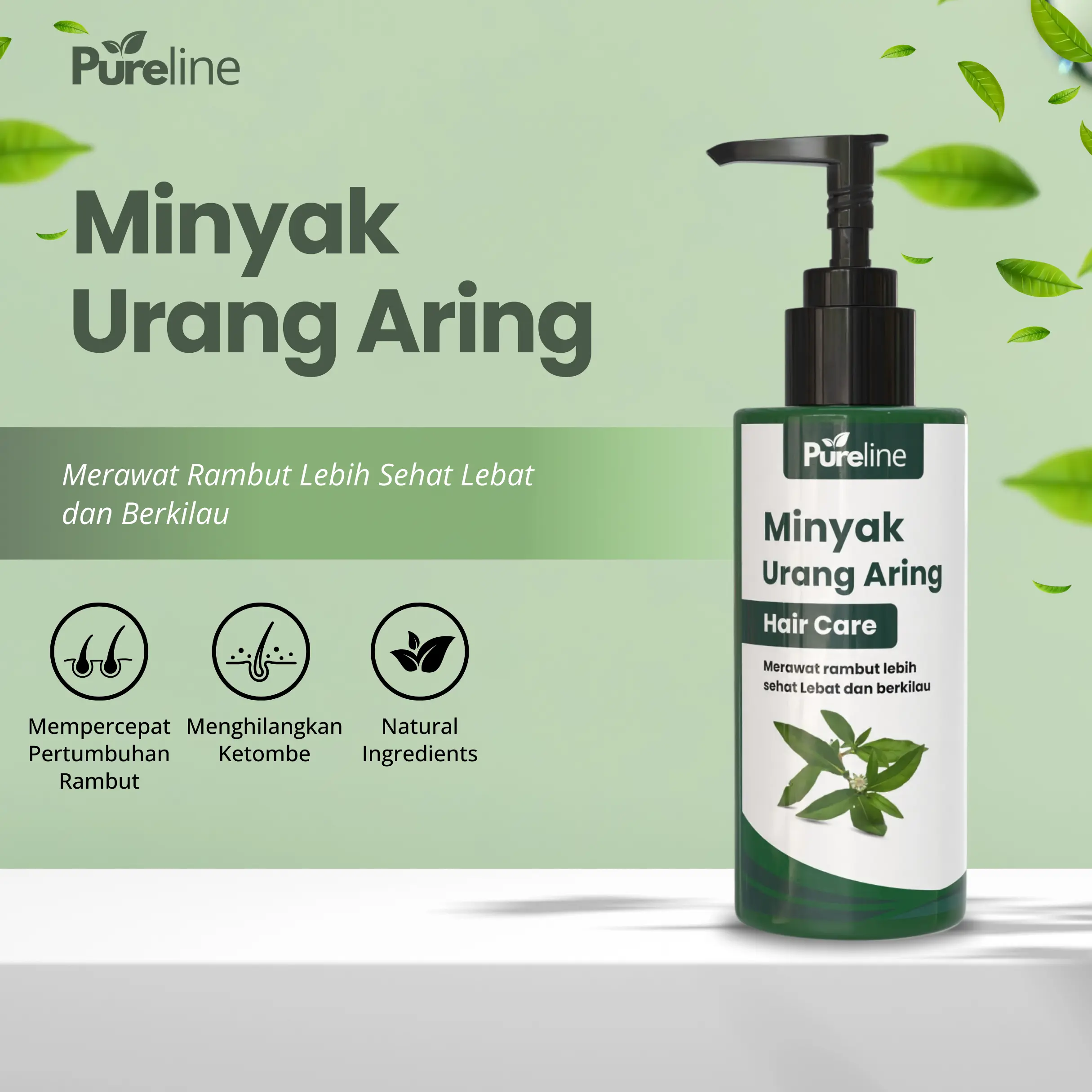 Minyak Urang Aring Murni Pureline