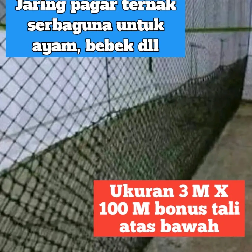Jaring Pagar Ternak Ayam Ukuran 3 M X 100 M