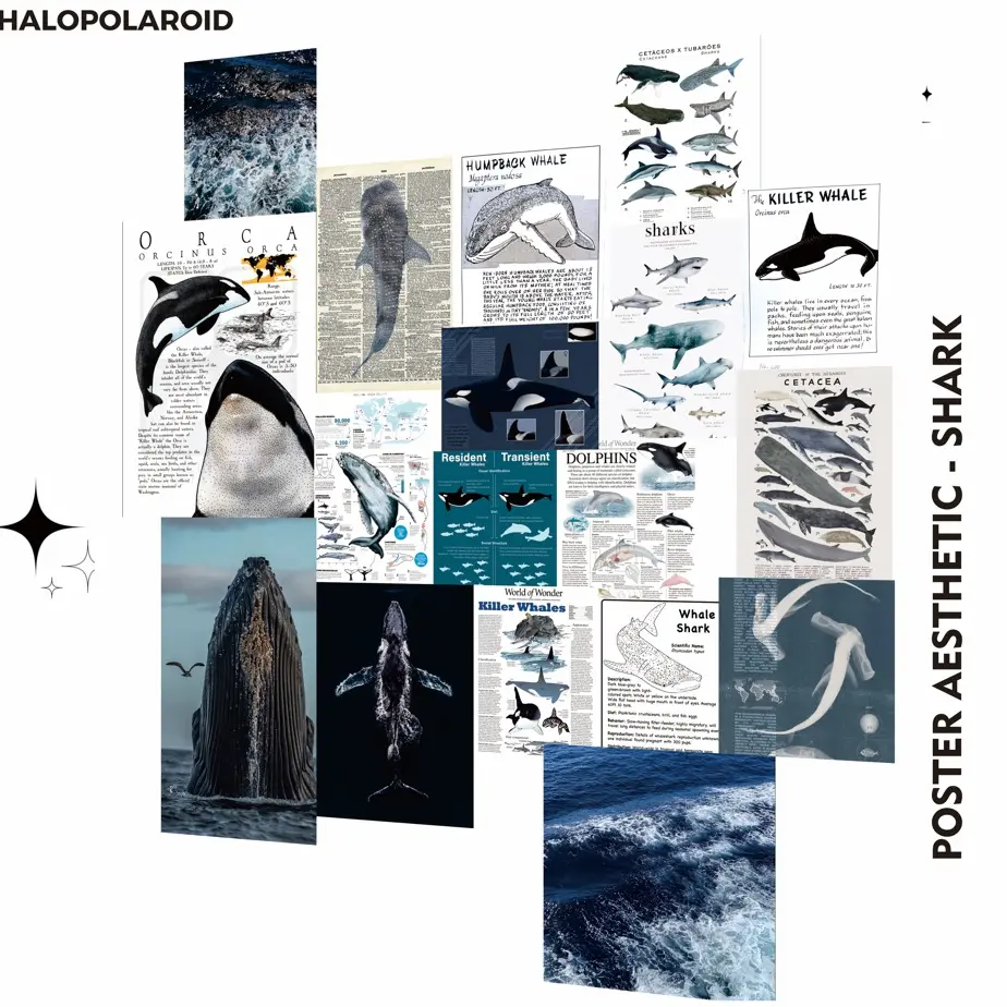 [HALOPOLAROID] Poster Aesthetic SHARK 18 Pcs Hiasan Estetik Dinding Wall Decor Aesthetic - Halo 19