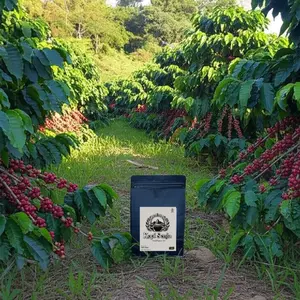 kopi senja bubuk hitam berat bersih 1kilogram