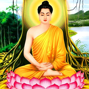 Phong Thủy Tài Lộc Bình An