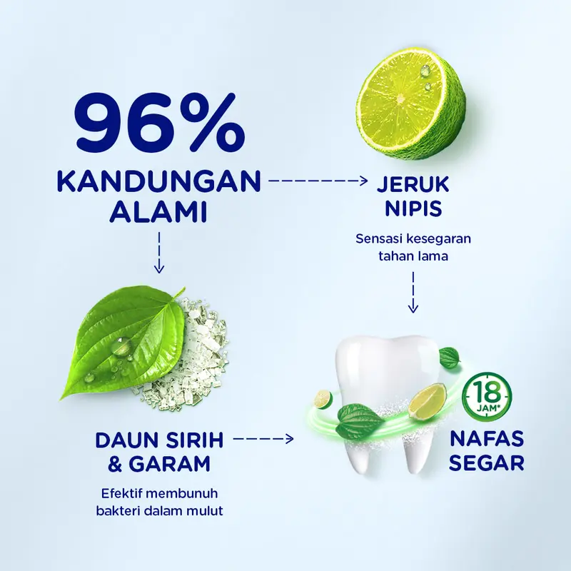 Pepsodent Pasta Gigi Action 123 Herbal 100g Twinpack 2