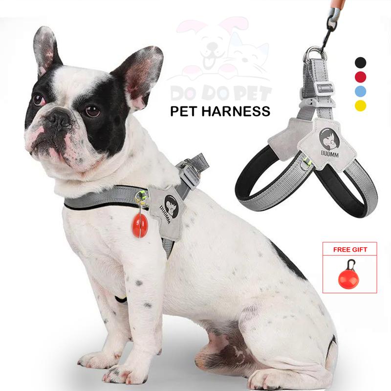 DODO Bộ dây xích thú cưng với dây nịt chó có thể điều chỉnh kiểu vest lưới phản quang phù hợp cho chó và mèo cỡ vừa và nhỏ, đồ dùng cho thú cưng huấn luyện đi dạo chó bulldog Pháp