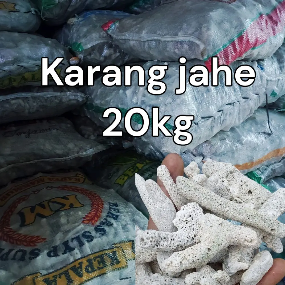 Karang jahe karungan 20 kg  / karang jahe / media filter / filter / media filter aquarium / media filter kolam ikan / media filter koi / filter aquarium / filter kolam ikan / filter koi