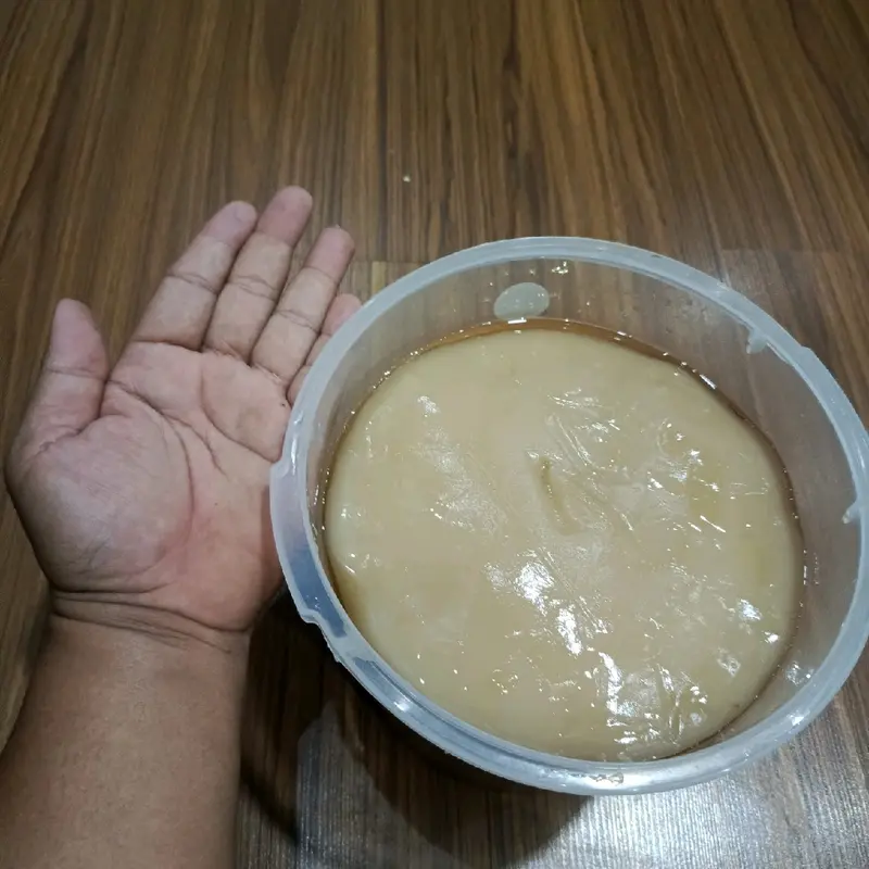 Scoby Kombucha Reseller isi 5 Scoby ukuran lebar +- 20×12×0.5cm, bisa memproduksi teh kombucha sebanyak +-20Liter dalam sekali proses, GARANSI 100% diganti baru jika proses pembuatan scoby gagal, berjamur atau tidak berkebang biak..BUKTIKAN !! 2