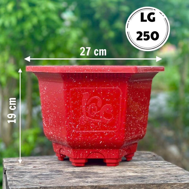    Combo 10 Cái   Chậu Nhựa Trồng Cây Lục Giác 250   miệng 27cm x cao 19cm  