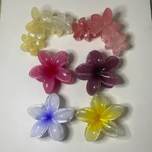 JEDAI KAMBOJA 8CM KAMBOJA