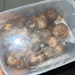 Black garlic / bawang hitam tunggal (BUKAN KATING) berat 250gram