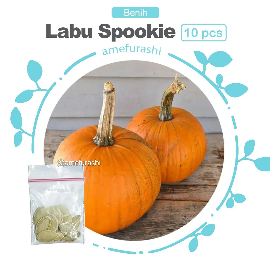 Labu Spookie 10 Biji