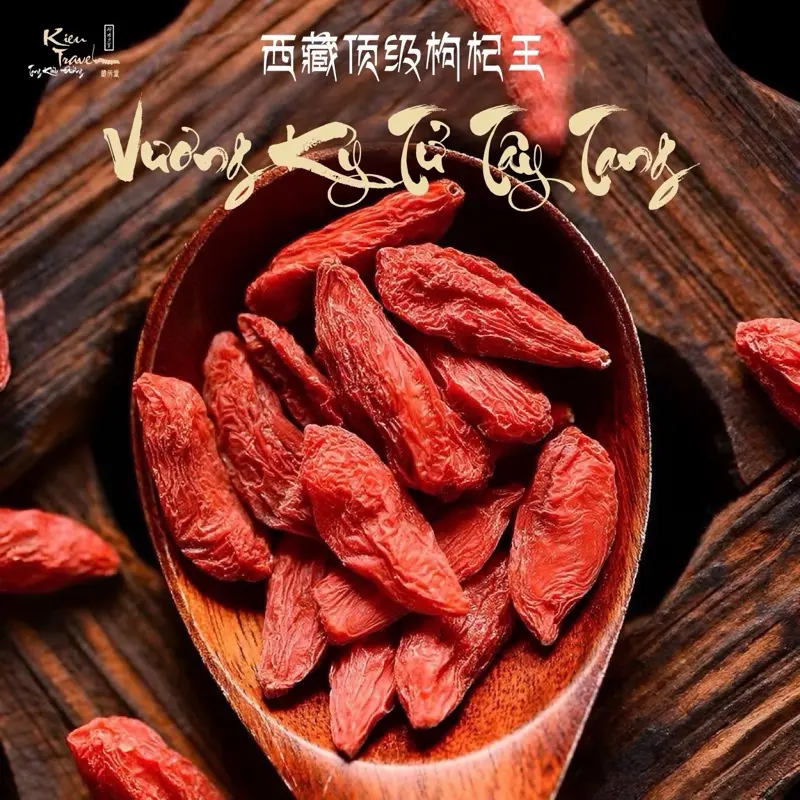 [ Kiều Travel ] Vương Kỷ Tử Tây Tạng Thượng Hạng - Trà Câu Kỷ Tử Phơi Khô Tự Nhiên - Size VIP - Không Chất Bảo Quản